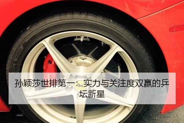 孙颖莎世排第一：实力与关注度双赢的乒坛新星